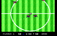 Microprose Pro Soccer