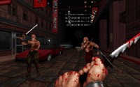 Shadow Warrior