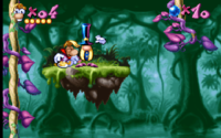 Rayman