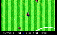 Microprose Pro Soccer