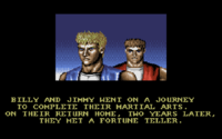 Double Dragon 3: The Rosetta Stone