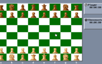 Chessmaster 3000