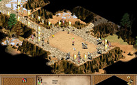 Age of Empires II Gold Edition PL