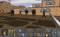 Elder Scrolls: Daggerfall (The)