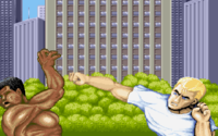 Street Fighter II