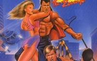 Double Dragon 2: The Revenge