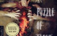 Phantasmagoria 2: A Puzzle of Flesh