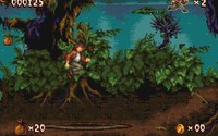 Pitfall: The Mayan Adventure