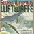 Secret Weapons of the Luftwaffe